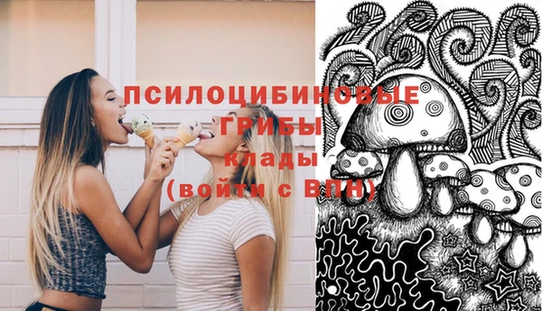 герыч Арсеньев